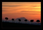 Ieri sera, al crepuscolo