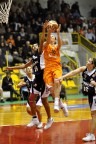 Basket A1: Schio-Viterbo