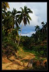 Baracoa, Cuba