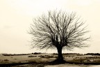 colline in inverno