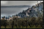 Trevi