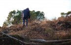 Desolazione