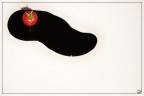 Pomodoro