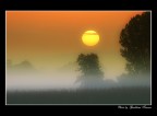 Alba lombarda