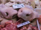 Natura Morta