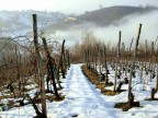 colline astigiane