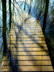 Riflessi sulla via