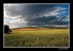 ...LANDSCAPE...