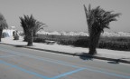 Villa Rosa Blue(s)