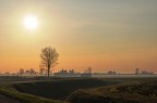 Alba