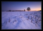 Radura innevata
