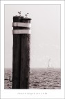camera doppia con vista