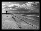 ...SULLA SPIAGGIA...