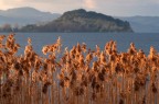 Tramonto a Bolsena