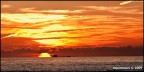 ieri sera in versilia....