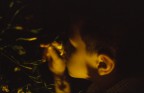 Diapositiva - Notturno, assenza di flash, focale fissa 50 1.8. Mio nipote inebriato dall'odore del gelsomino.