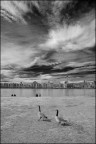 Brooklyn - NYC