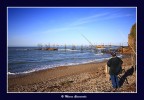 Non  giornata