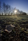 fRoZeN
