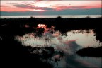 dopo un temporale forte si sono formate delle grosse pozze d'acqua ed un timido sole si affaccia tra le bellissime nuvole che si specchiano in mare ed in ogni specchio d'acqua formatisi...porto cesareo...lecce..marzo 2009