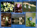Primavera a Toblino