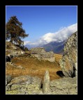 la pietra