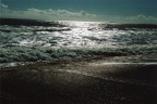 luci di mare