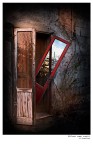 riflessi di vita svaniti