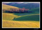 ...CAMPI...