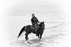 A cavallo dell'onda...........