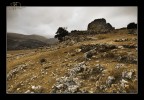 MkRep02_4