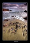 Copper Coast