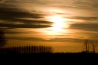 L'immagine e' stata scattata durante una passeggiata
serale sull'argine del po vicino a pavia.
Ho cercato di inserire i profile delle piante per dare
l'idea del luogo