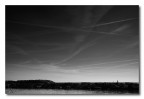 Scie
