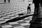 Il falso amico  come l'ombra che ci segue finch dura il sole.

Terraza Mascagni (LI)