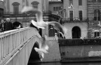 Pisa - Ponte di mezzo