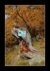 omaggio al parco