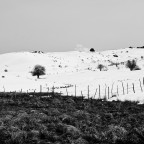 Paesaggio innevato nei pressi di Lorica, in Sila
Canon 400D @ 1/400 /14 100ISO 55mm