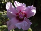 Raw,Supermacro,F 5.6