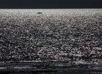 Barchetta in un mare di stelle