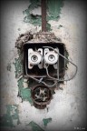 Electric man