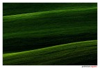 Paesaggio minimale