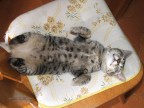 Di schiena si dorme meglio