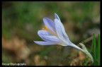 100mm macro f2.8
ISO 200
1/640
f 3.5
Comp esp -2/3