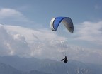 volareee