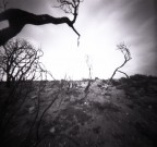 pinhole