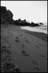 INSEGUENDO LA SOLITUDINE