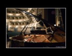 The piano concert
