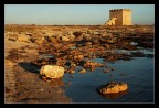 Scogliera di Torre Lapillo, con torre omonima sullo sfondo.
Nikon D70 con 18-70 DX (del kit) a 200 ISO
Focale: 35mm (52,5mm equivalente)
Diaframma: F/11
Tempo: 1/125s
Modalita' di esposizione: Priorita' diaframmi
Sottoesposta 1/3 EV