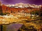 Zelnarica Slovenia